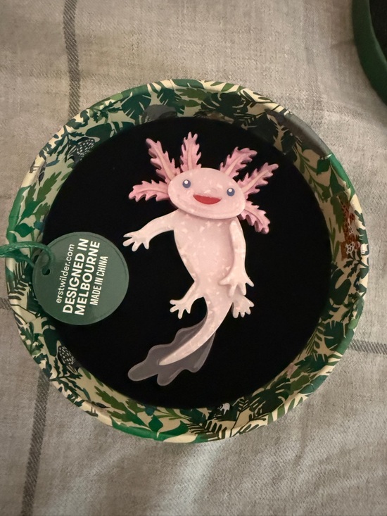 Erstwilder Jewelry - Axolotl Brooch Pin - Pink Erstwilder New